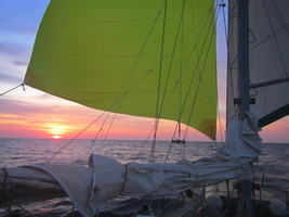 Новый геннакер.